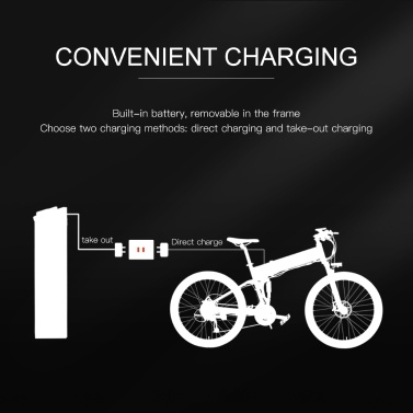 LANKELEISI XT750PLUS Electric Bicycle 500W 40km/h Top Speed 75 - 100km Range