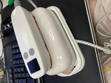 Pretfy Handheld Electric Steam Iron Portable Clothes Iron Garment Steamer