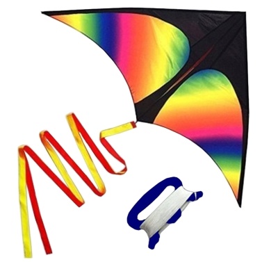 Colorful Delta Kite Easy to Fly Kite Single Line Beach Kite with 30m String