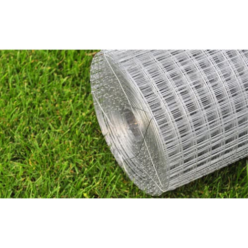 Square Wire Netting 1x25 m Galvanized Thickness 0,75 mm