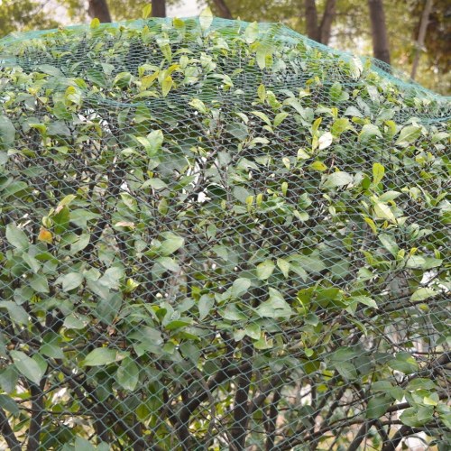 

Anti-bird nets 2 pieces 4 x 20 m Polyethylene