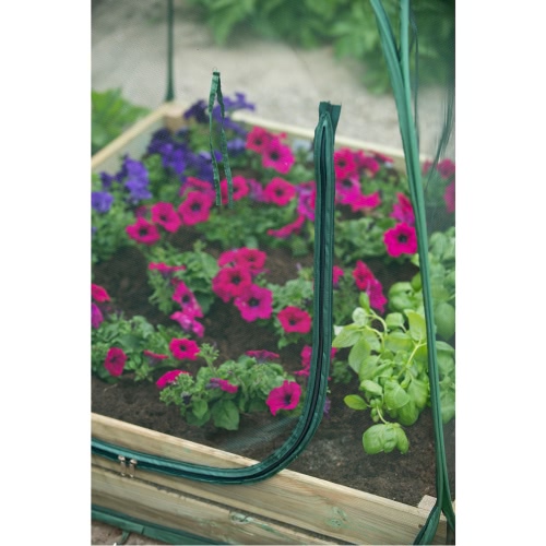

Nature "Pop up" Greenhouse 100 x 100 x 100 cm 6020409