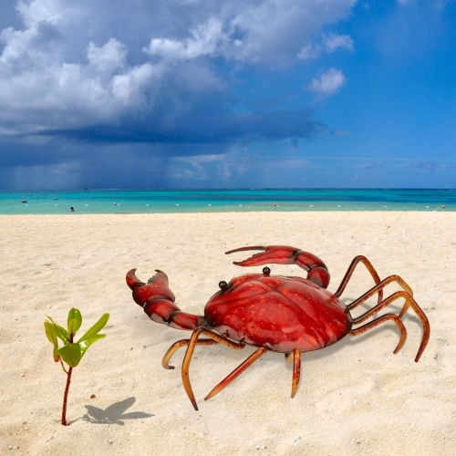 

Tooarts Crab Ornament Crafting Home furnishing articles Decoration Art Metal sculptrue Iron sculpture