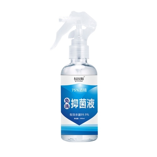 

Disposable Hand Sanitizer with 75% Alcohol Wash Free Hand Sanitizer Spray Gel 500ml for Daily Health Care