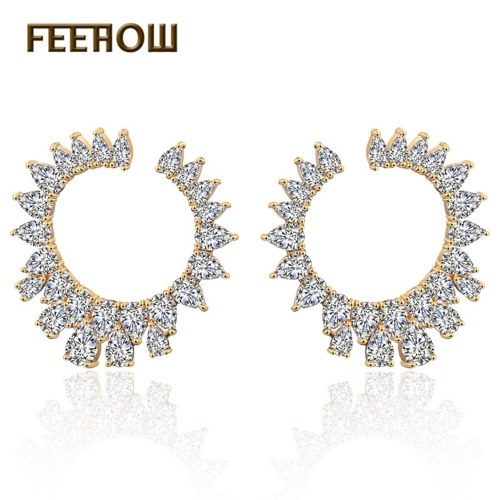 

FEEHOW new torus fashion earrings