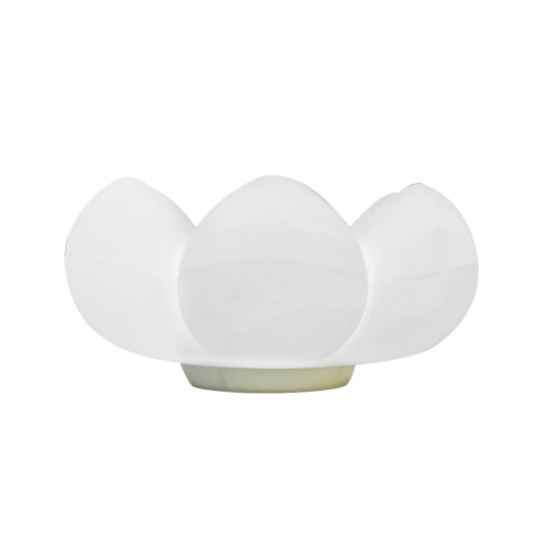 

LED Silicone Fleshy Flower Storage Shape Colorful Pat Light