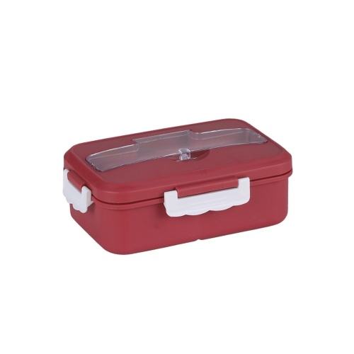 

Bento Boxes Lunch Box Leakproof Lunch Box