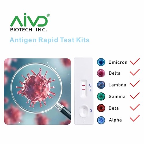 

10 Pcs Covid-19 Antigen Rapid Test Kit Home Self Test with CE Certification