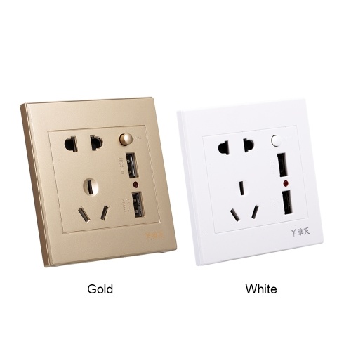 Electric Outlet with 2 Sockets and 2 USB Ports Wall Mount Socket (Gold)