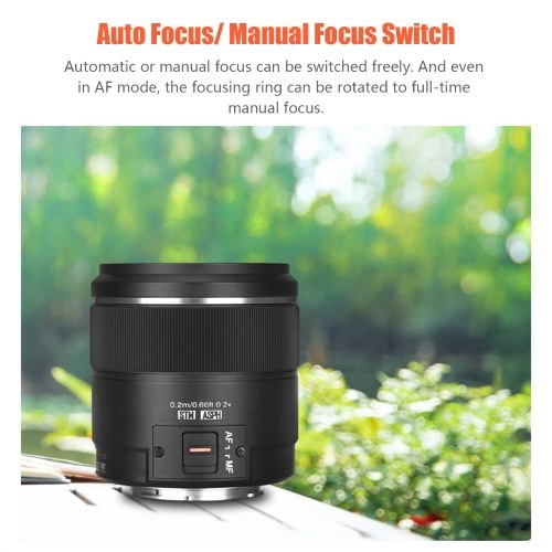 YONGNUO YN25mm F1.7M Camera Prime Lens Auto/ Manual Focus Large Aperture Micro 4/3 Mount Replacement for Panasonic G100/GH5/G9/G95/G85/GX9/GX85/GF10/GF9 for Olympus E-M5 II III/ E-M10 III IV/ PEN-F/ E-PL9/ E-PL10 Cameras 