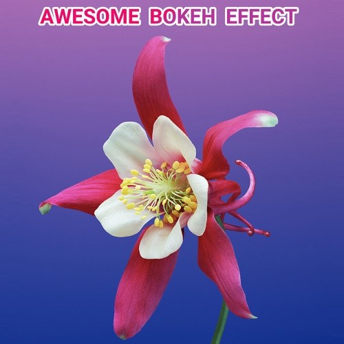 APEXEL Mobile Phone 100mm Macro Lens 10X + CPL Filter Kit with Universal Phone Clip Storage Box Replacement for iPhone 14/13/12/11 Huawei Smartphones