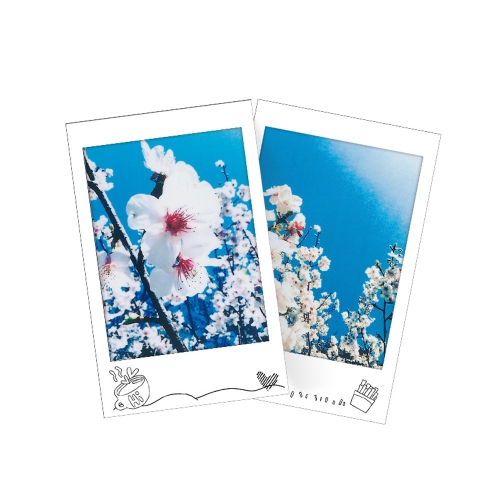 

Fuji Polaroid Instant Photo Camera Paper Mini7s 8 25 50 90 Film Monochrome