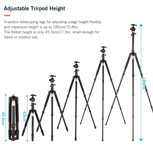 

Andoer TTT-011 185cm/ 72.83Inch Professional Photography Tripod Monopod Camera Horizontal Tripods Aluminum Alloy 360° Rotatable Ball Head Quick Release Plate 10kg/22lbs Load Capacity with Carry Bag