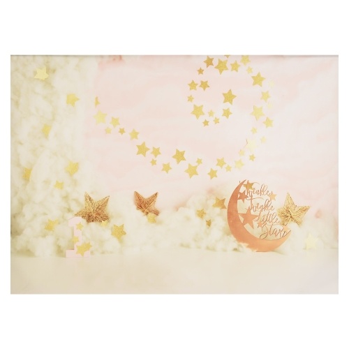 

2.1 * 1.5m/ 7 * 5ft Photography Background Portrait Photography Backdrops Pink Style Photo Studio Props for Baby Girl Portrait Photos Party Decoration