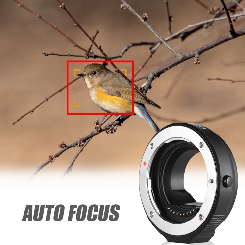 FOTGA OEM4/3(AF) 4/3 to M4/3 Camera Adapter Ring Auto Focus Lens Mount for Olympus 4/3 Mount Lens to Olympus M4/3 Mount Lens Cameras Olympus E-P1 E-P2 E-PL1 E-PL2 Panasonic G1 G2 G10 GF1 GF2 GF3 