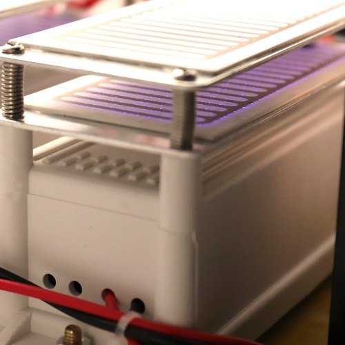 

20g / h Портативная машина дезинфекции генератора озона 220V