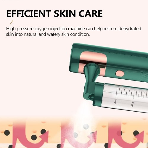 

Portable 80ml Capacity Face High Pressure Oxygen Sprayer Nano-Mist Sprayer
