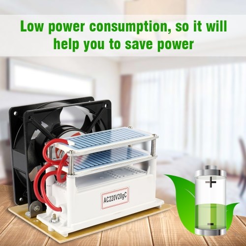 

20g / h Портативная машина дезинфекции генератора озона 220V