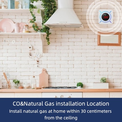 Tuya WiFi CO Combustible Gases Leak Detector Portable Carbon Monoxide Gases Leakage Tester Multifunctional Gases Concentration Tester 