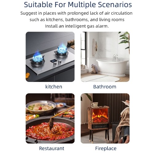 Tuya WiFi CO Combustible Gases Leak Detector Portable Carbon Monoxide Gases Leakage Tester Multifunctional Gases Concentration Tester 