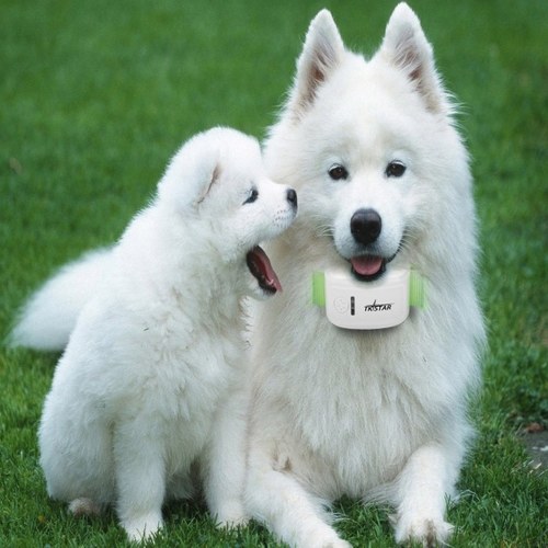 

TK909 Mini Global Locator Real Time Pet GPS Locators for Pet Dog and Cat GPS Collar Satellite Tracking
