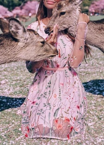 

Floral Embroidery Sheer Mesh Summer Bohemian Mini Dress