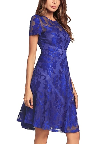 

Sheer Lace Pleated O Neck Short Sleeve High Waist Swing Dress