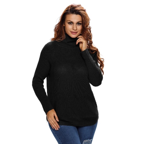 

Turtleneck Neck Side Zip Raglan Sweater