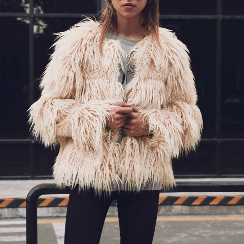 

Fashion Faux Fur Autumn Winter Long Sleeve Women's Outerwear