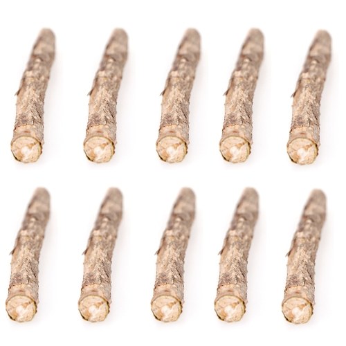 10 Pcs Natural Cat Catnip Sticks