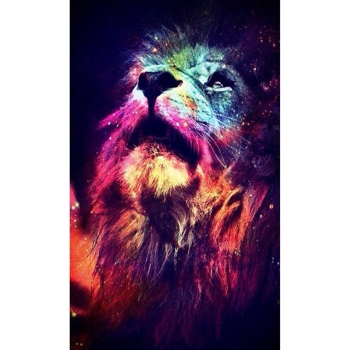 

5D DIY Colorful Lion Diamond Painting Kit Arts Crafts Embroidery Cross Stitch Rhinestone Decoration Canvas Wall Home Office Decor