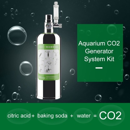 2L Aquarium CO2 Generator System Kit 