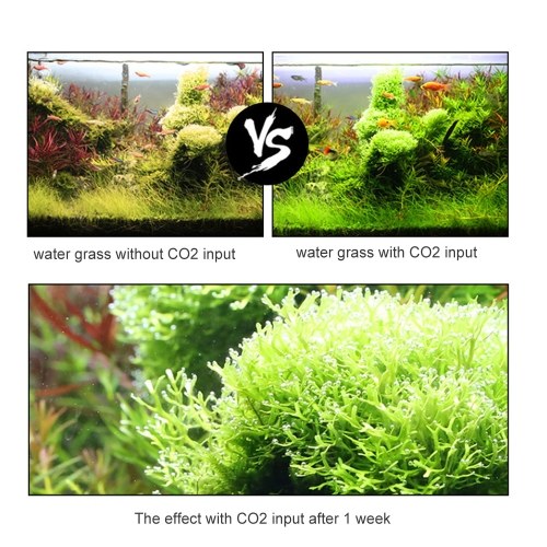 2L Aquarium CO2 Generator System Kit 