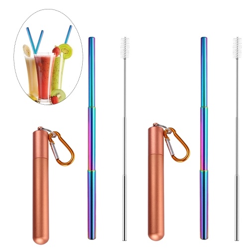 

Portable Collapsible Straw Reusable 304 Stainless Steel