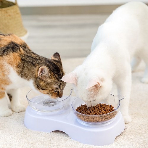 

Pet Dog Cat Double Feeder Water Bowl Neck Protection Bowl 8 Degree Tilt