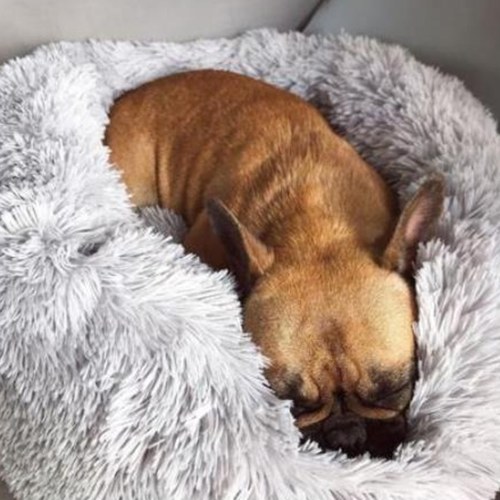 

Fluffy Luxe Pet Bed for Dogs Cats Dog and Cat Cushion Bed