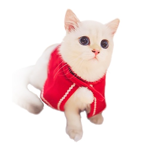 

Pet Cats Dogs Animals Costume Clothes Kit Set
