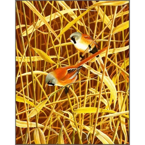 

5D DIY Diamond Painting