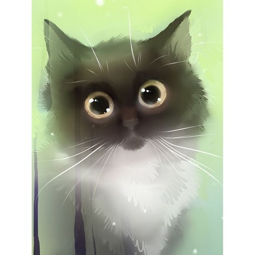 

5D DIY Diamond Painting