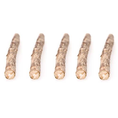 5 Pcs Natural Cat Catnip Sticks