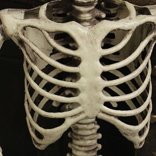 

Halloween Simulation Hanging Skeleton Human Body Bone
