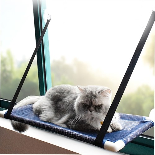 Chat fenêtre perche hamac lit refroidissement respirant maille pont fenêtre ventouses siège été hamac pour chats chatons