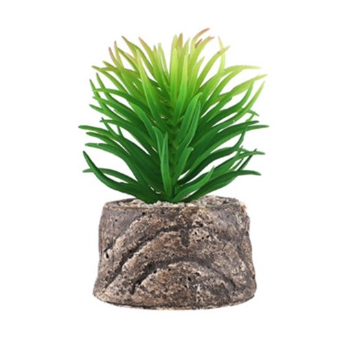 

Mini Fresh Succulent Plants Simulation Potting Emulation Potted Plants Bonsai Ornament Desktop Decoration