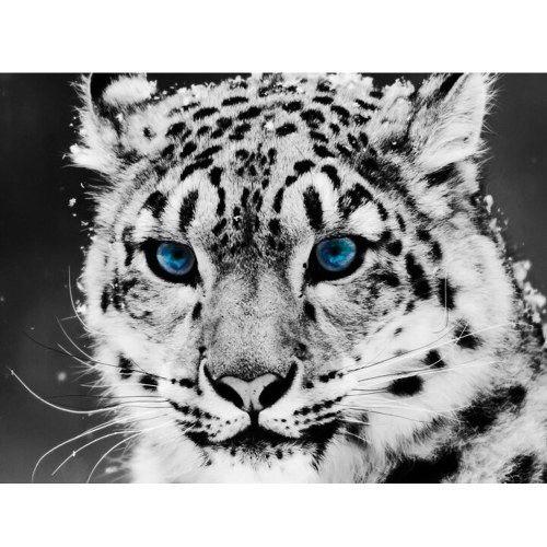 

5D DIY Diamond Painting