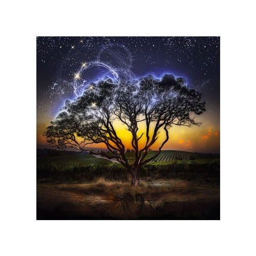 

DIY 5D Diamond Painting Cross Stitch Full Drill Crystal Pictures Arts Craft for Home Wall Decor Gift