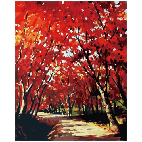 

16 x 20 Inch DIY Oil Painting on Canvas