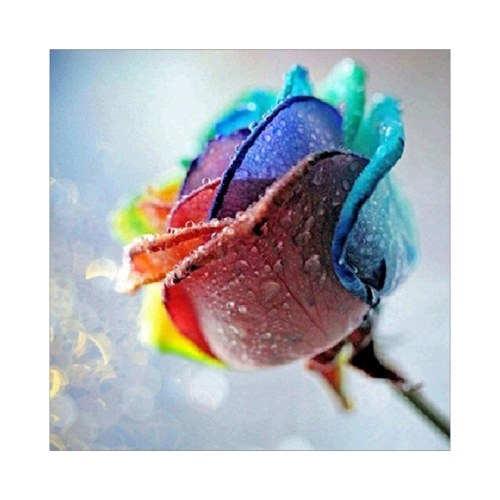 

12*16 Inch DIY 5D Diamond Painting Kit Full Drill Diamond Painting Tree Flower Pattern Acrylic Rhinestone Mosaic Painting Craft Home Wall Decor Gift Frameless