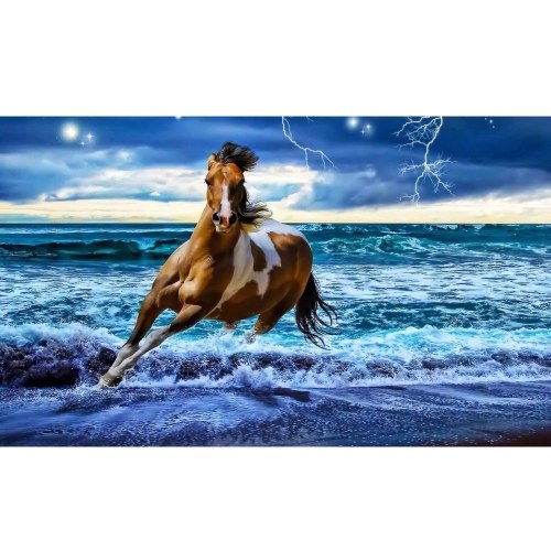 

5D DIY Diamond Painting