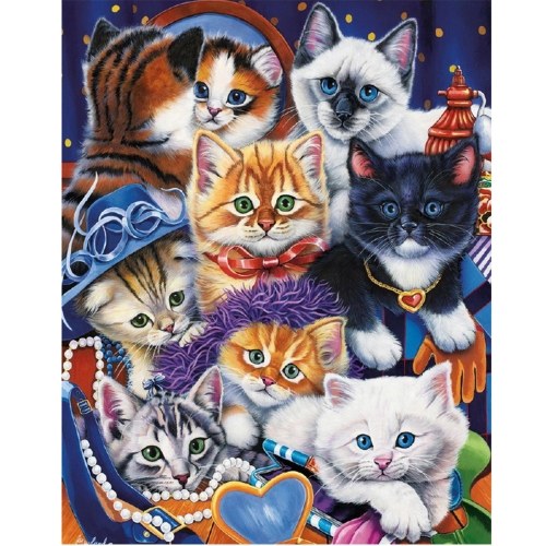 

DIY 5D Diamond Painting Kits