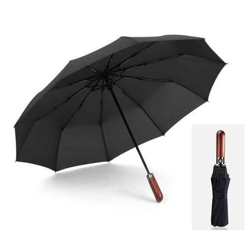 Auto Umbrella